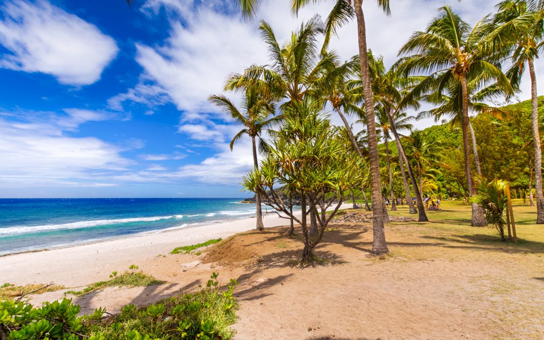 Les 12 plus belles plages de la Réunion