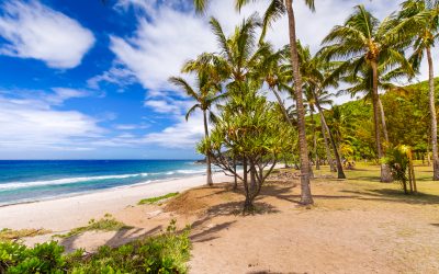 Les 12 plus belles plages de la Réunion