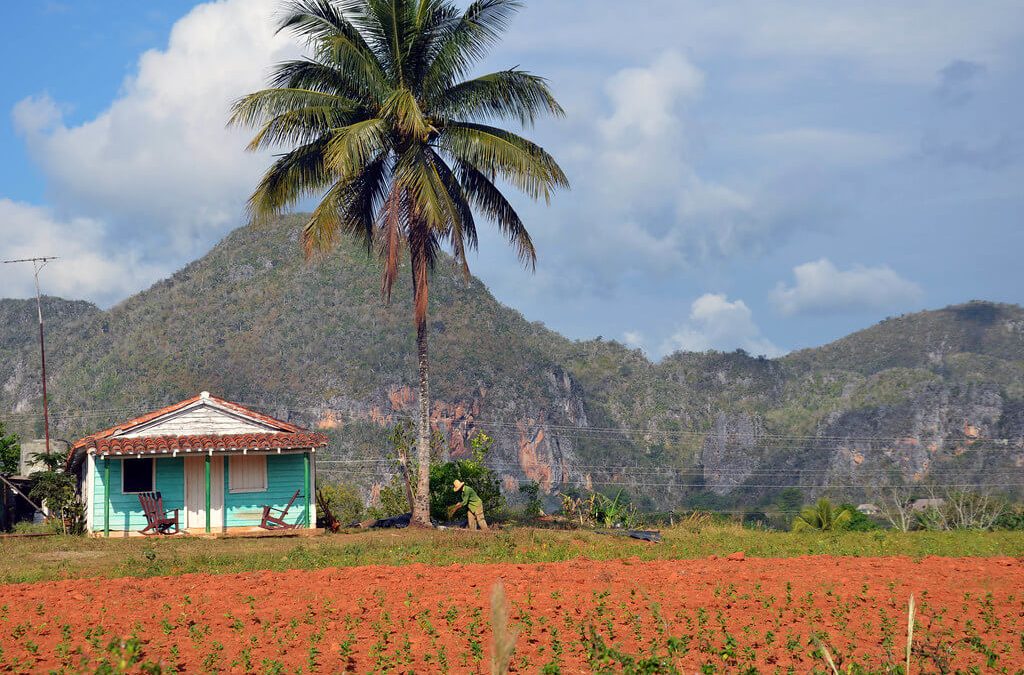 Visiter Viñales à Cuba : entre tabac et mogotes.