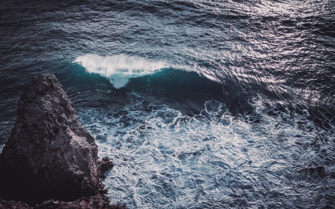 Martinique vs Guadeloupe : quelle île pour quel type de voyage ? 