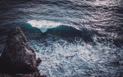 Martinique vs Guadeloupe : quelle île pour quel type de voyage ? 