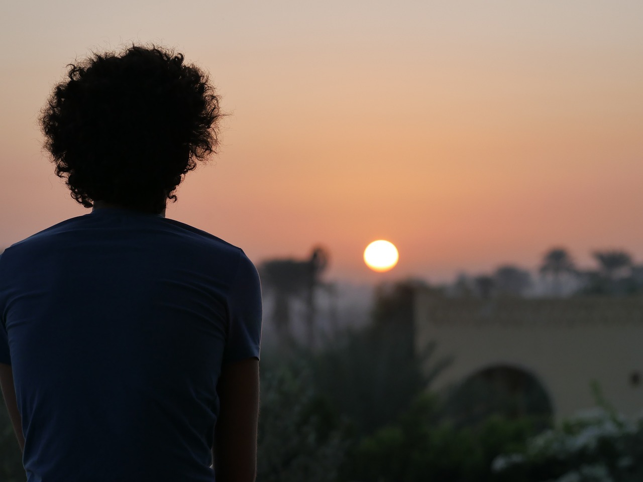 À la découverte des Oasis d’Égypte : notre guide complet