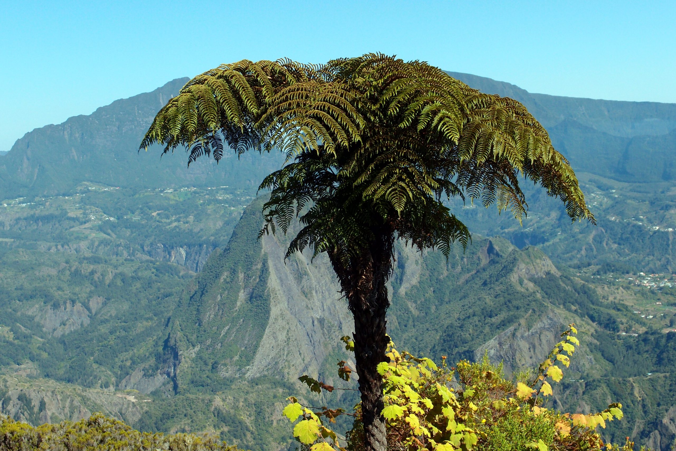 Les trois cirques de la Réunion : Cilaos, Mafate et Salazie