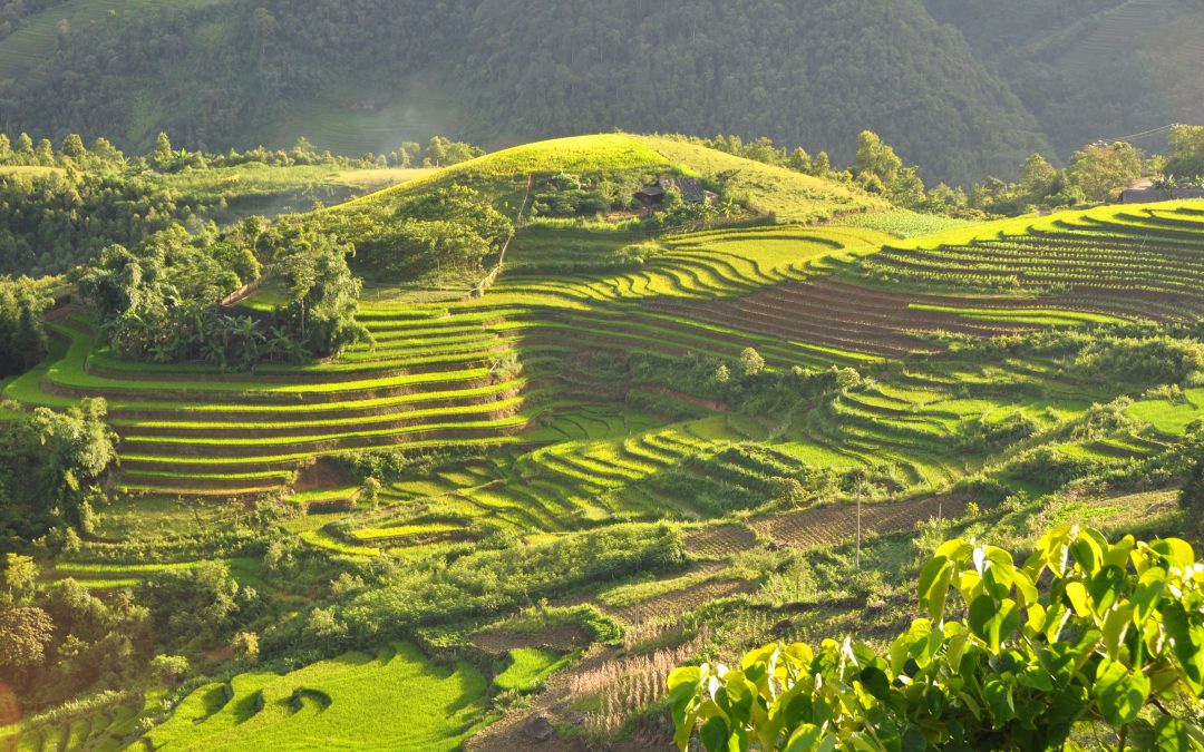 Top 15 des activités incontournables à Sapa au Vietnam