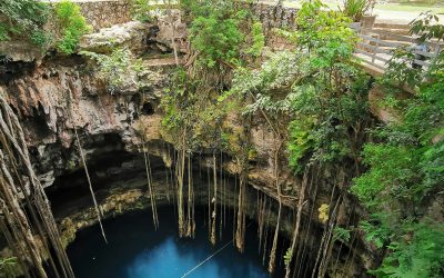 Découvrez 10 des plus beaux Cenotes au Mexique