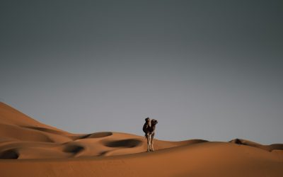 Désert du Maroc : notre guide pour un voyage réussi.