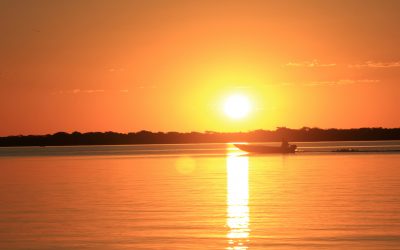 Voyage au Pantanal : Séjour au coeur du Brésil humide et sauvage