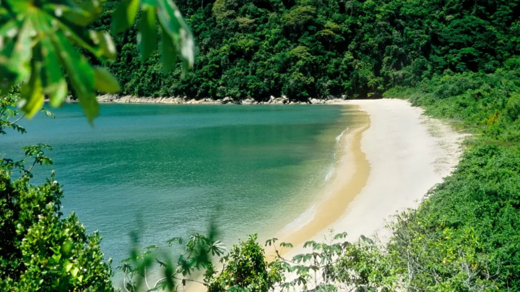 Plage paradisiaque de la Côte Verte brésilienne