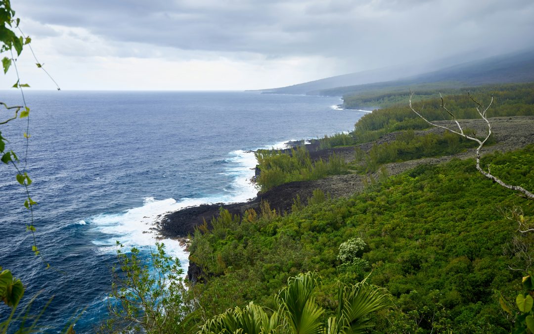 Notre top 10 des activités à faire à Saint-André à La Réunion