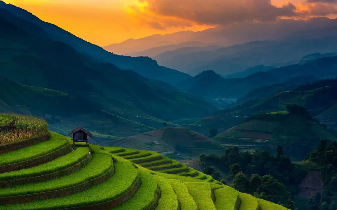 Rizière au Vietnam : le guide des plus belles rizières en terrasse