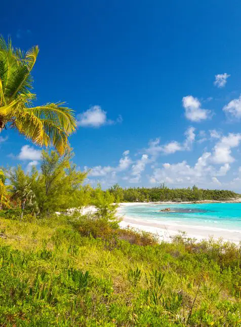 Plage tropicale sauvage avec palmiers et sable blanc voyage sur mesure aux Bahamas