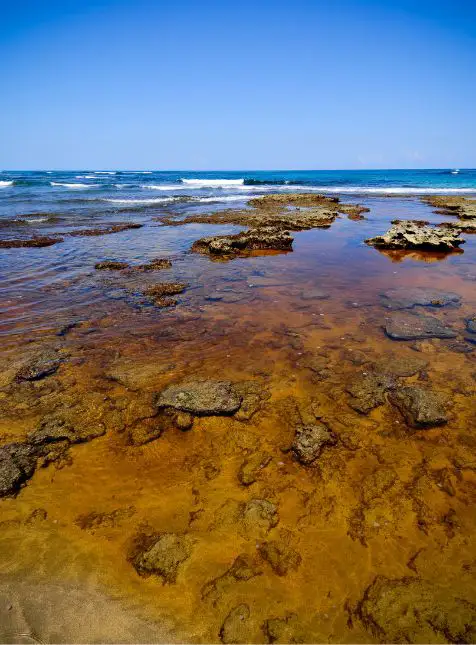 Plage rocheuse formations géologiques côte Pacifique voyage sur mesure au Costa Rica