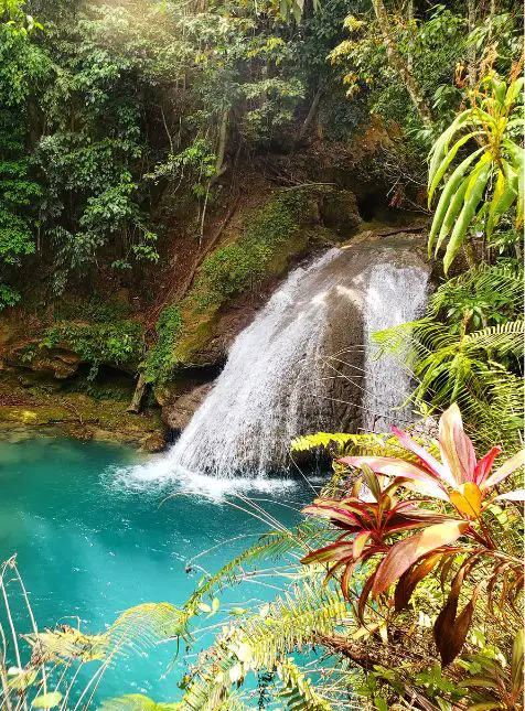 Cascade jamaïcaine dans jungle tropicale avec bassin turquoise et végétation luxuriante - voyage sur mesure en Jamaïque