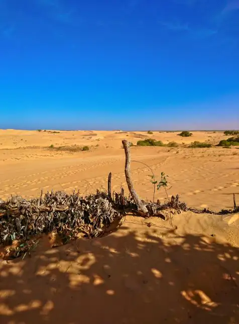 Paysage désertique du Ferlo au Sénégal - voyage sur mesure au Sénégal