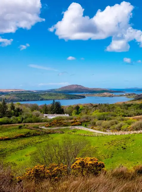 Paysage verdoyant du Connemara avec lacs et collines sous ciel bleu - voyage sur mesure Irlande panoramique