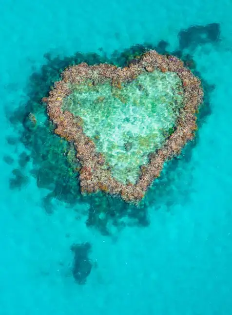 Heart Reef en forme de cœur dans la Grande Barrière de Corail Australie pour voyage sur mesure en Australie avec Les Sens du Voyage