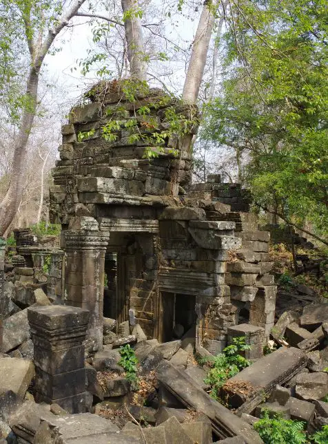 Temple Angkor envahi jungle végétation Ta Prohm ruines voyage sur mesure Cambodge nature patrimoine