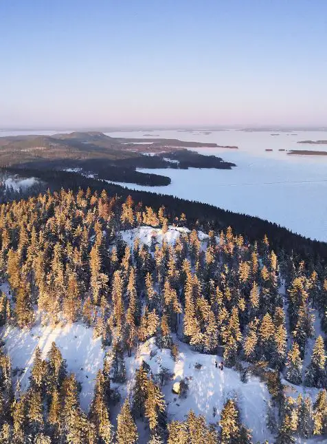 Vue aérienne de forêts de pins enneigées et lacs gelés en Laponie finlandaise pour voyage sur mesure Finlande