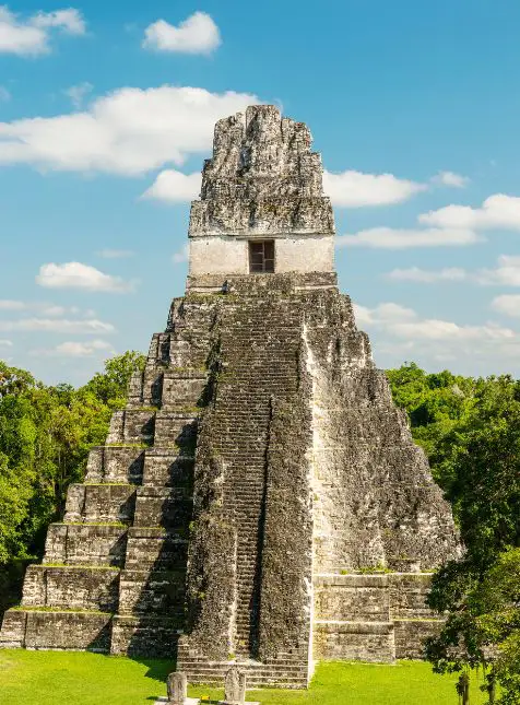 Temple pyramidal maya de Tikal entouré de jungle pour un voyage sur mesure Guatemala avec Les Sens du Voyage