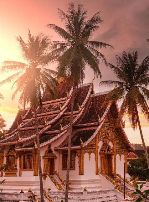 Temple de Luang Prabang sous les palmiers Temple traditionnel laotien avec palmiers au coucher du soleil à Luang Prabang lors d'un voyage sur mesure au Laos