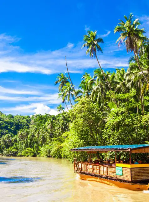 Radeau traditionnel rivière Loboc Bohol palmiers jungle - voyage sur mesure Philippines