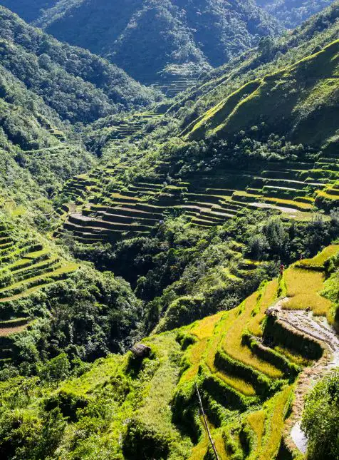 Rizières terrasses Banaue Ifugao montagnes Cordillère Philippines - voyage sur mesure Philippines
