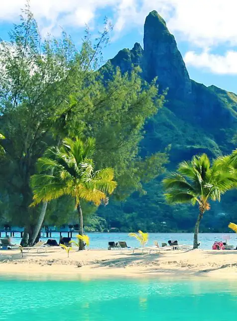 Plage paradisiaque avec palmiers et montagne volcanique en Polynésie - voyage sur mesure en Polynésie française