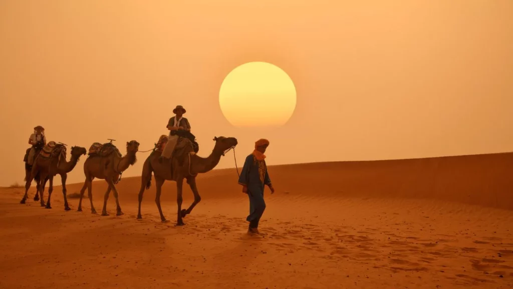 Caravane de dromadaires guidée par un Berbère au coucher du soleil dans les dunes de l'Erg Chebbi lors d'un voyage sur mesure au Maroc