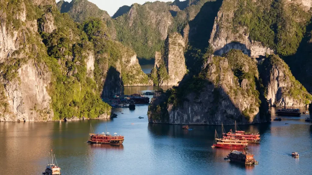 Jonques traditionnelles en bois rouge au mouillage entre les falaises calcaires de la baie d'Halong lors d'un voyage sur mesure au Vietnam