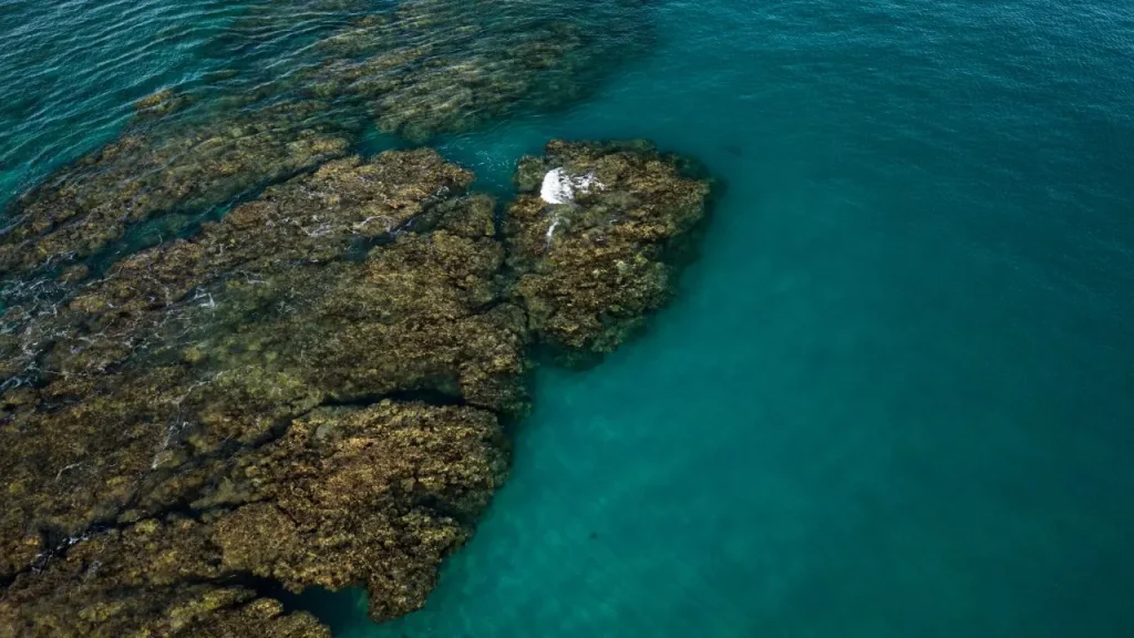 Vue aérienne de récifs coralliens dans un lagon aux eaux turquoise lors d'un voyage sur mesure à La Réunion