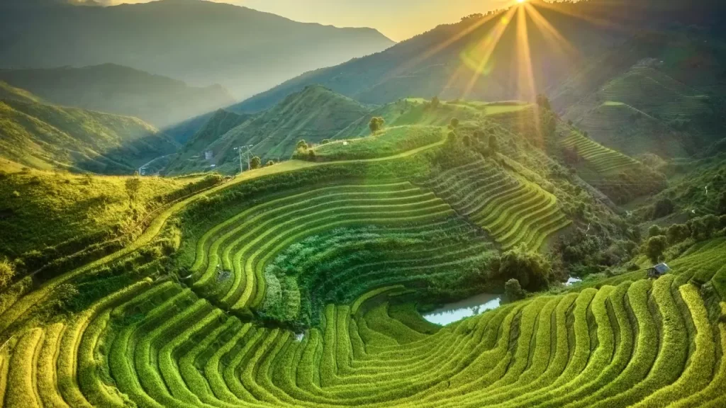 Rizières en terrasses verdoyantes au coucher du soleil dans les montagnes du nord lors d'un voyage sur mesure au Vietnam