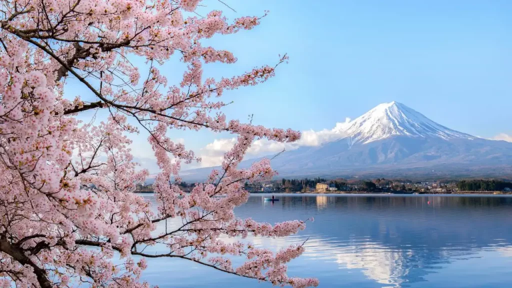 Cerisiers en fleurs et mont Fuji enneigé se reflétant sur un lac au printemps lors d'un voyage de noces sur mesure au Japon