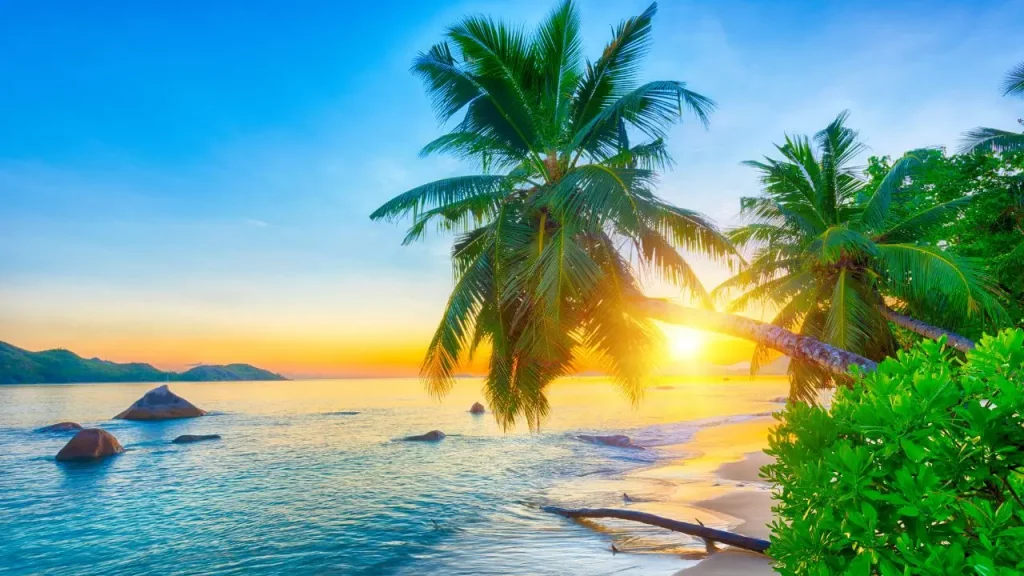 Coucher de soleil doré sur une plage tropicale avec cocotiers et rochers granitiques lors d'un voyage de noces sur mesure aux Seychelles